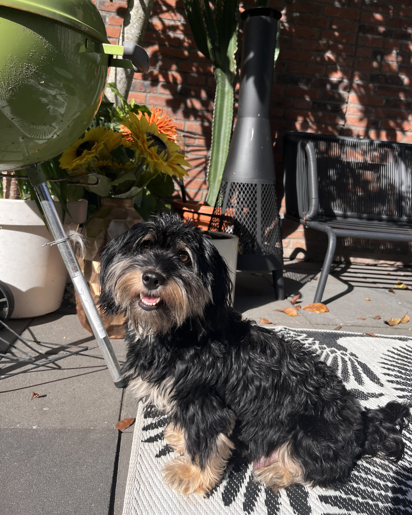 Ziva