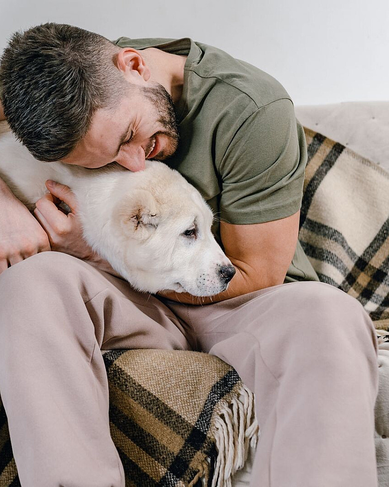 Je eigen hond verkopen of herplaatsen: zo doe je het eerlijk